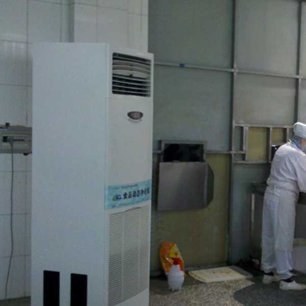 襄阳食品正负离子空气杀菌器